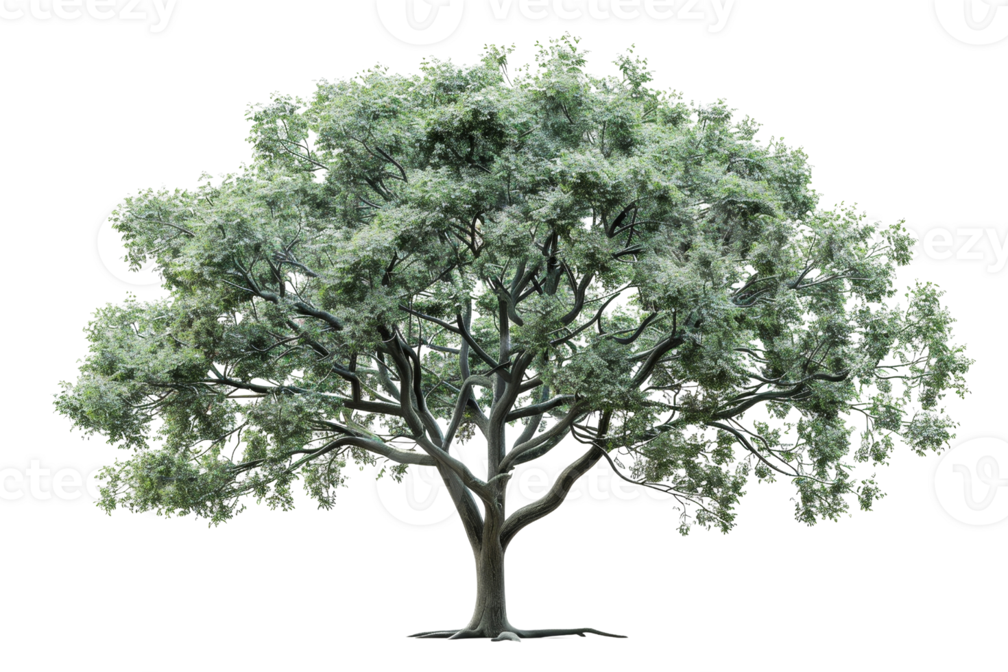 Lush green tree with dense foliage on a transparent background. ideal for nature themes and environmental concepts in stock photography. png