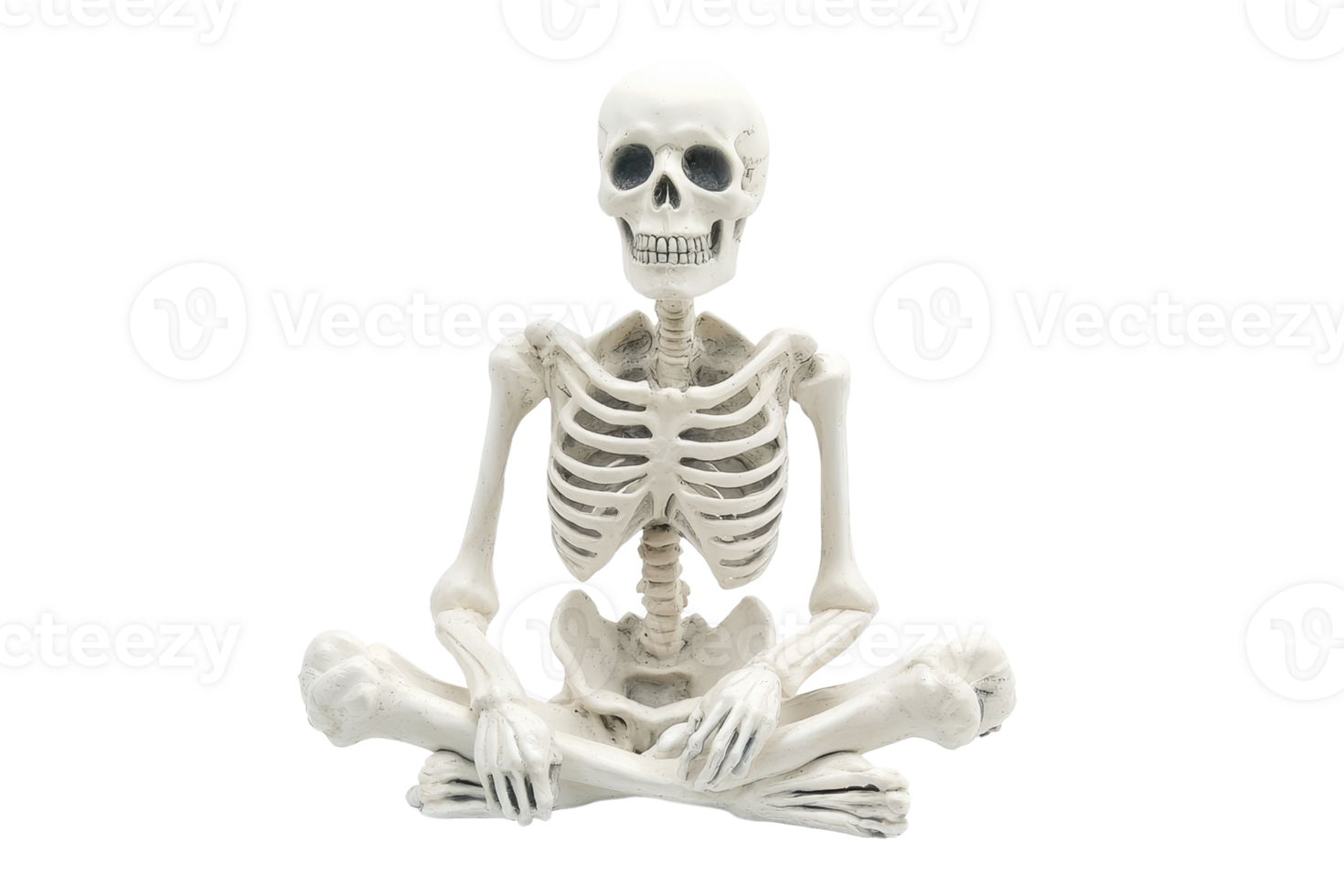 Human skeleton sitting in a cross-legged yoga pose on a transparent background. representing health, meditation, and anatomy education. png