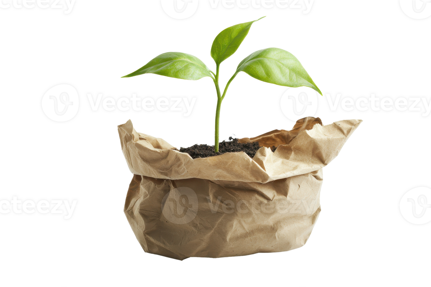 Young green plant in a paper bag symbolizing growth, sustainability, and eco-friendly practices. Ideal for gardening, environment, or nature themes. png