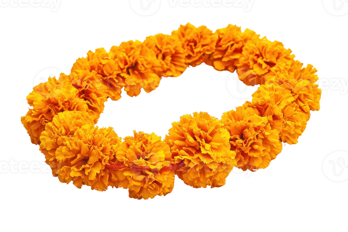 Bright marigold flower garland isolated on transparent background. perfect for festive, cultural, and decorative purposes. Vivid and vibrant floral arrangement. png