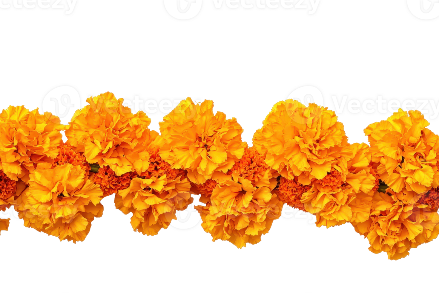 Bright garland of vibrant yellow marigold flowers isolated on transparent background. Perfect for festive decor, celebrations, and floral arrangements. png