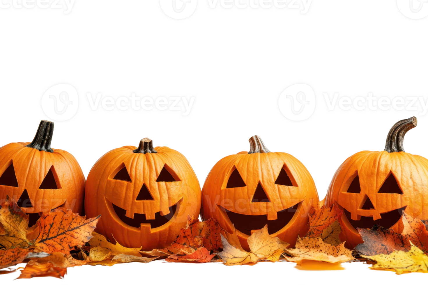 Four carved Jack-O'-Lanterns with various facial expressions surrounded by autumn leaves, perfect for Halloween themes or seasonal decorations. png