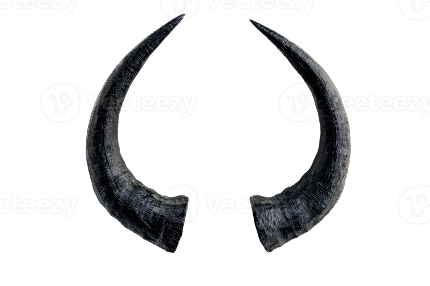 Close-up of two curved black horns isolated on a transparent background. perfect for design projects or artistic inspiration. png