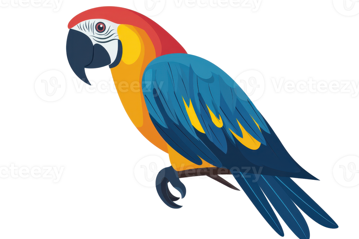 Colorful parrot illustration featuring vibrant feathers and a lively pose. Ideal for use in design projects and educational materials. png