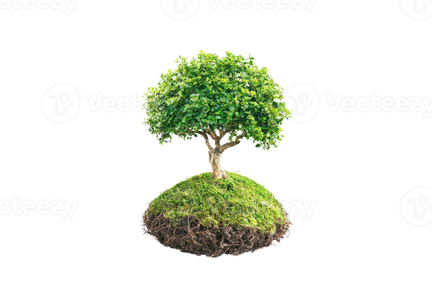 Isolated small tree on a floating patch of grass-covered soil, representing growth, nature, and sustainability in a transparent background. png