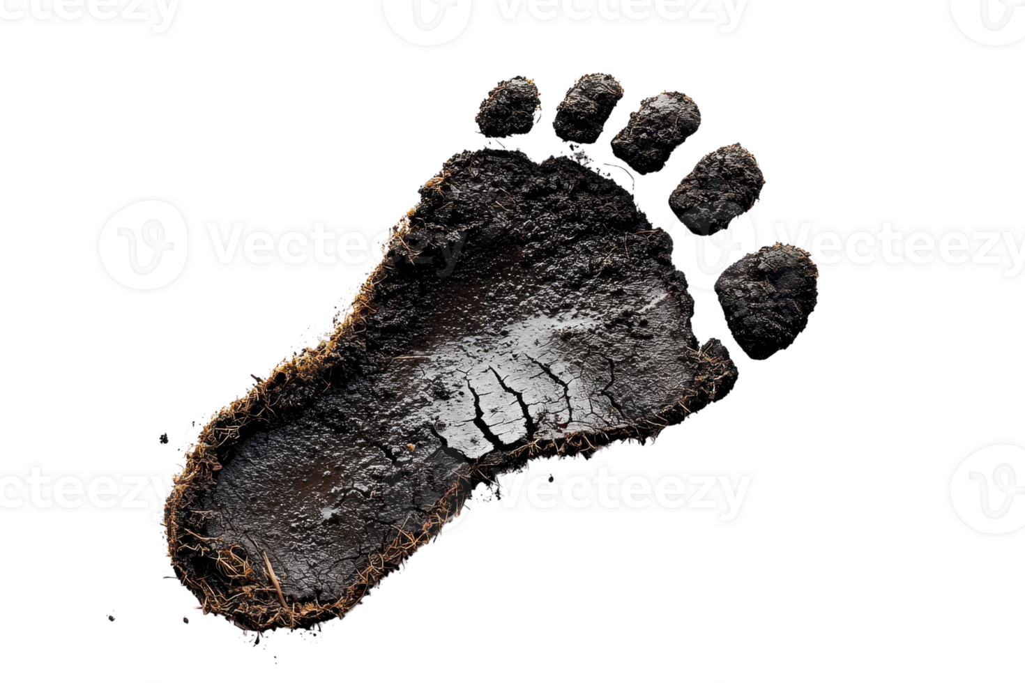Muddy footprint isolated on transparent background. symbolizing outdoor adventure, nature exploration, and tracking wildlife. png