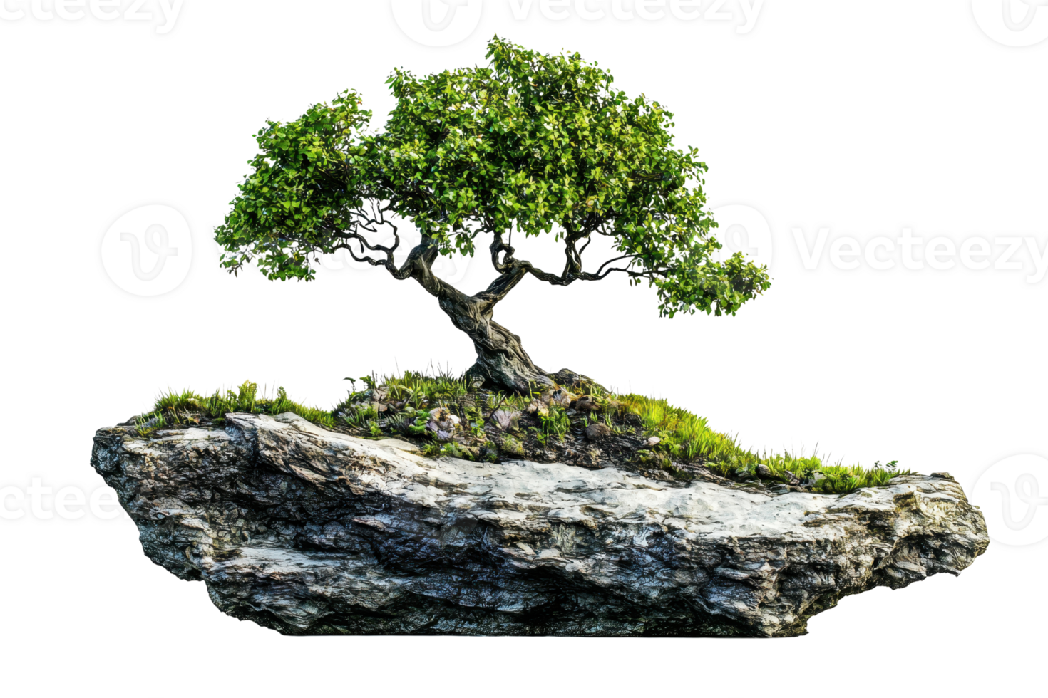 Vibrant green tree growing on a large rock isolated on transparent background. symbolizing resilience and natural beauty in untouched nature. png