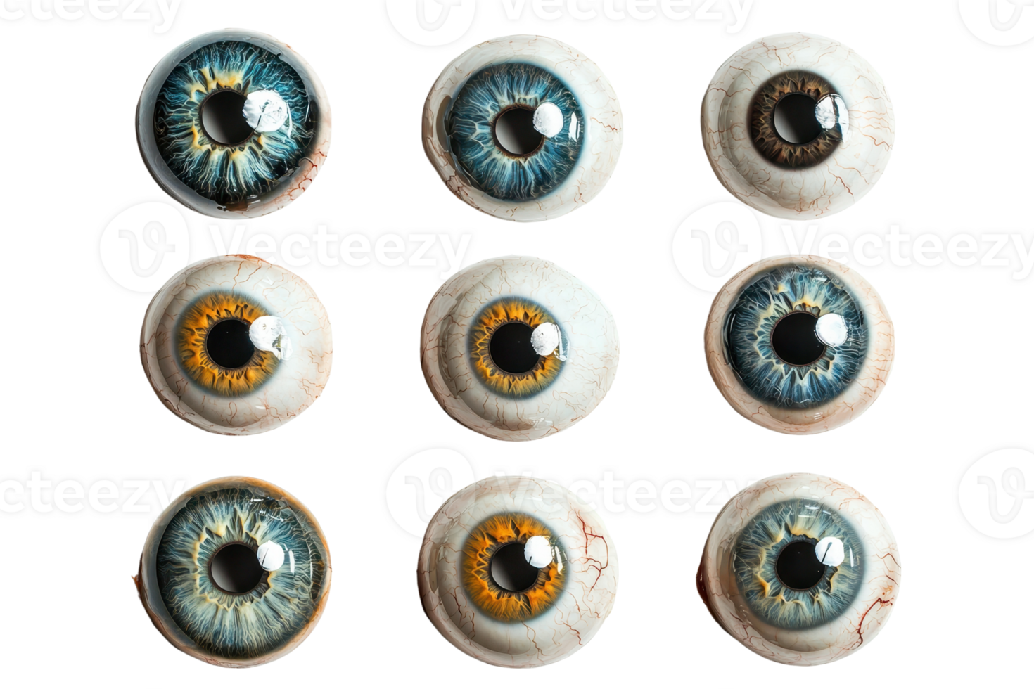 Collection of artificial human eyeballs in various colors arranged in a grid pattern, isolated on transparent background. png
