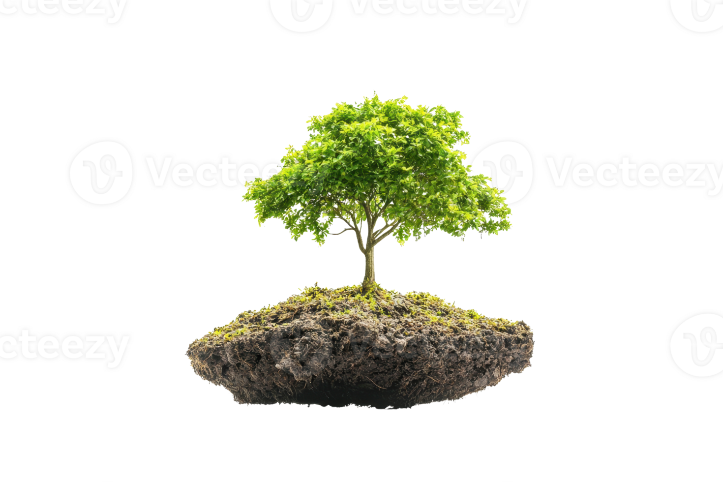 Isolated small green tree growing on a floating piece of soil, symbolizing sustainability, nature, and environmental conservation. png