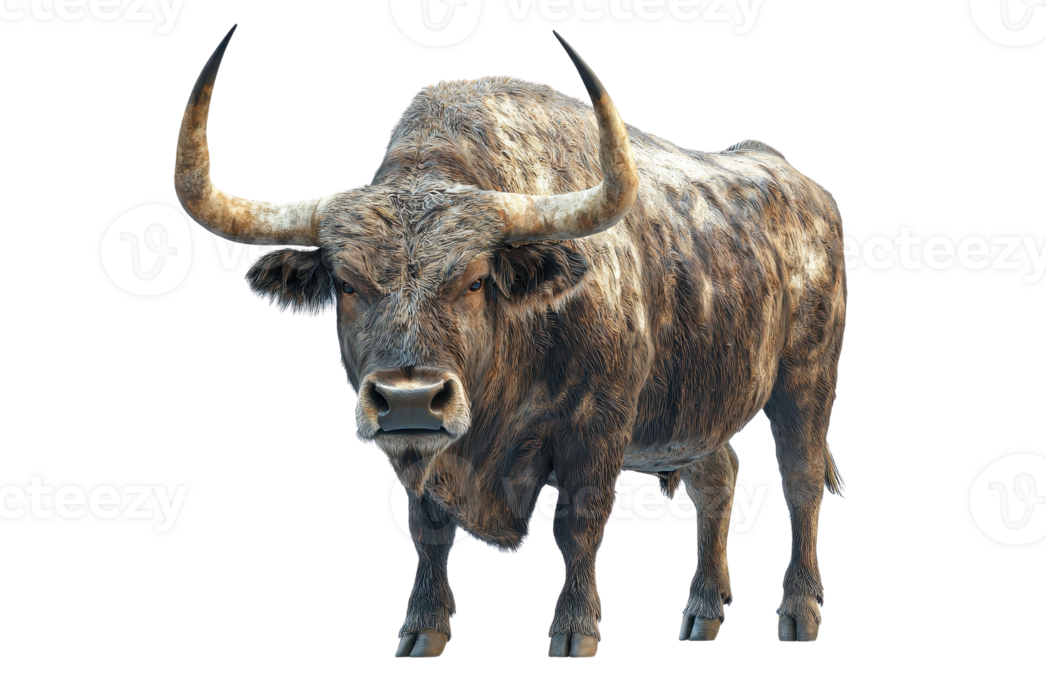 A majestic, powerful buffalo captured in detailed close-up, with its imposing horns and rugged fur, standing against a transparent background. png