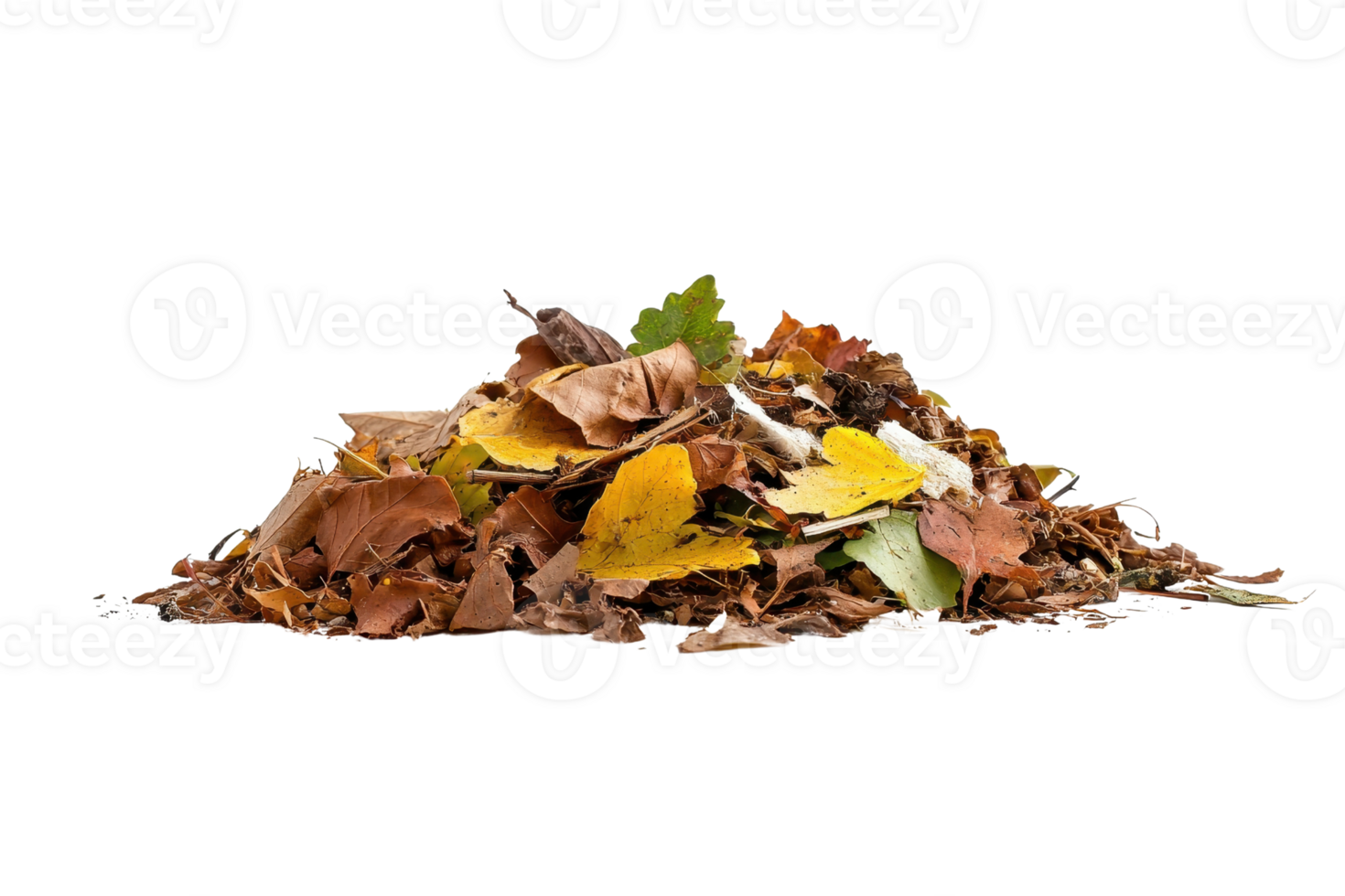 Pile of vibrant autumn leaves in various colors, capturing the essence of fall and the changing season. Perfect for seasonal and nature-themed projects. png