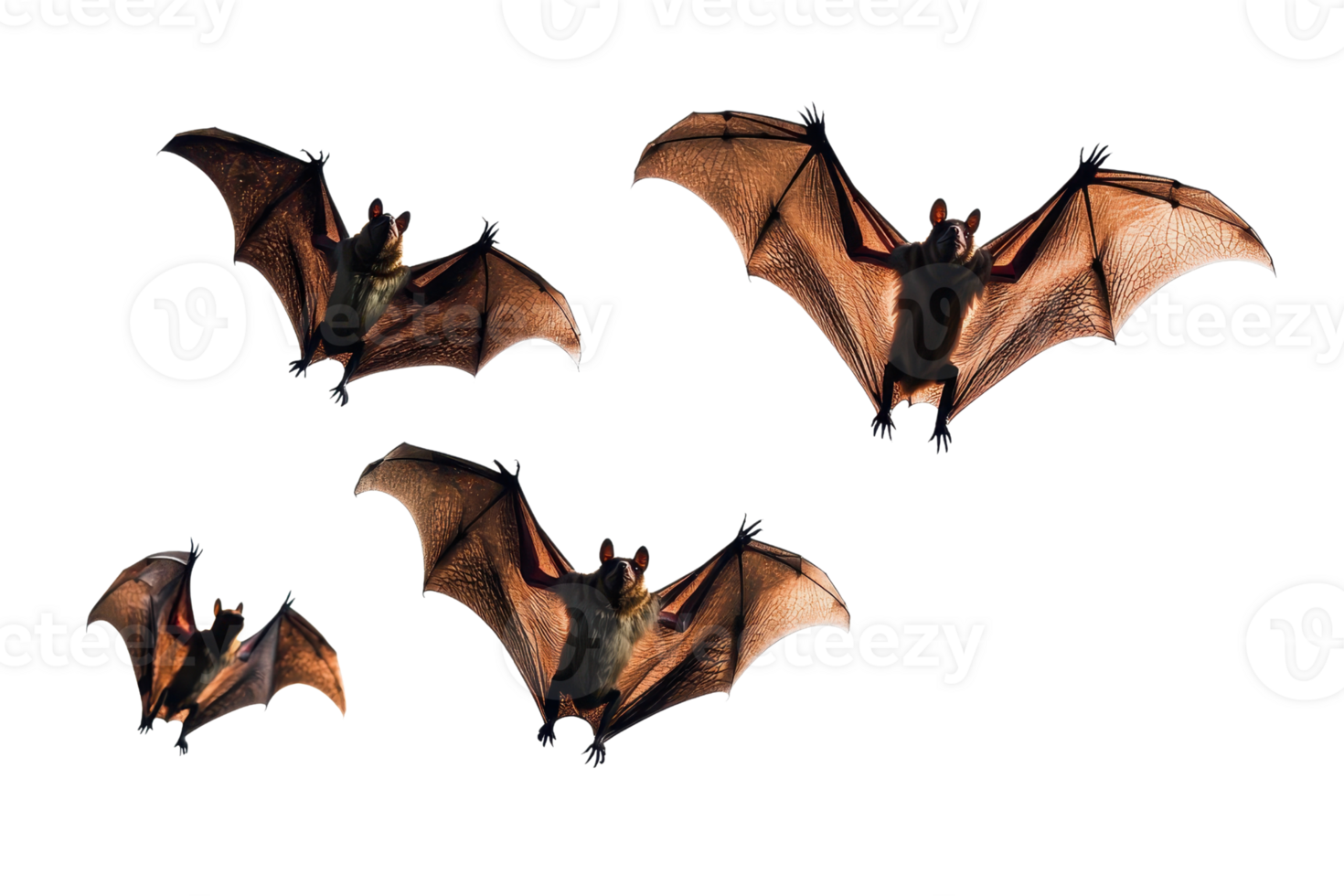 Four bats flying with wings wide open against a clear background, showcasing their intricate wing structures and unique forms. png