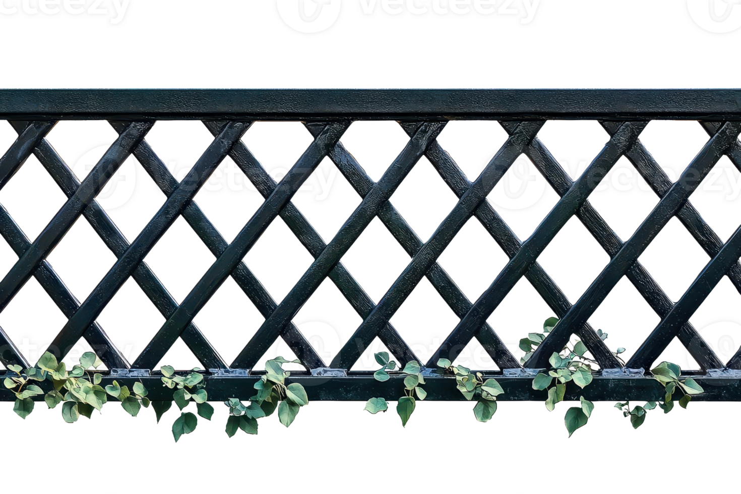 Black lattice fence adorned with green climbing plants, creating a harmonious blend of sturdy structure and natural beauty. png
