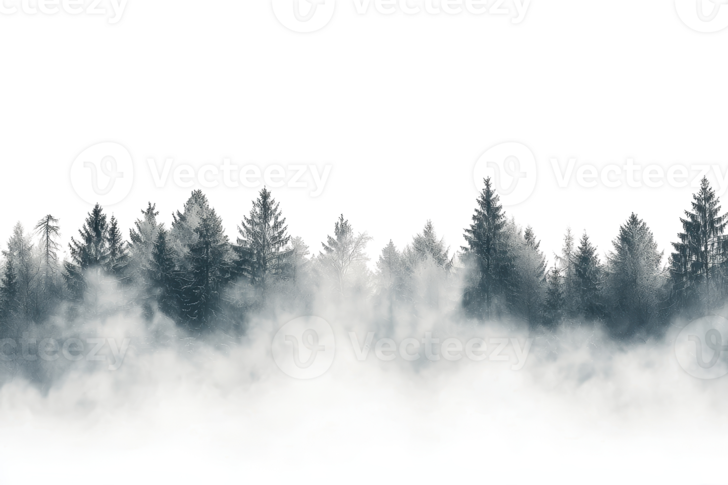 Misty dense forest with fog covering pine trees scenery, perfect for nature, tranquility, and wilderness themes. png