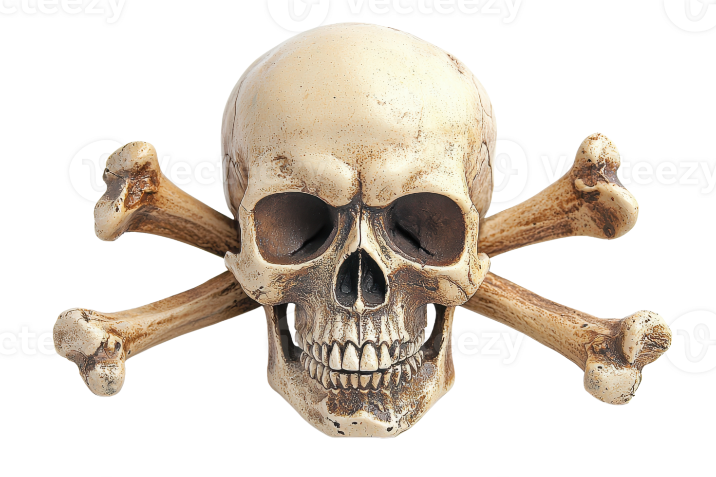 Realistic skull and crossed bones image isolated on transparent background. Ideal for themes of danger, pirates, and Halloween decorations. png