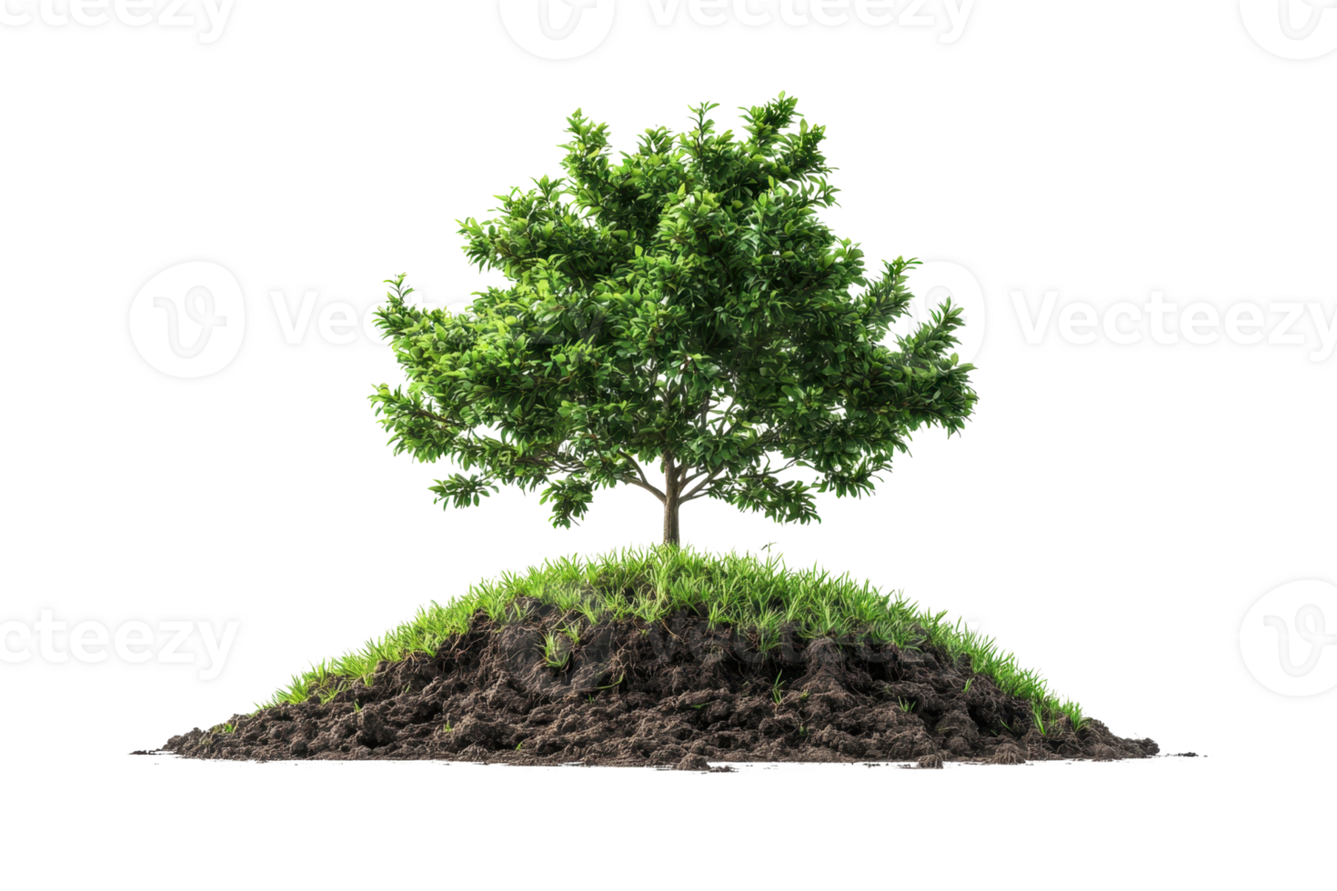 levendig groen boom Aan een klein heuvel van bodem, geïsoleerd Aan transparant achtergrond. symboliseert groei en van de natuur schoonheid. png