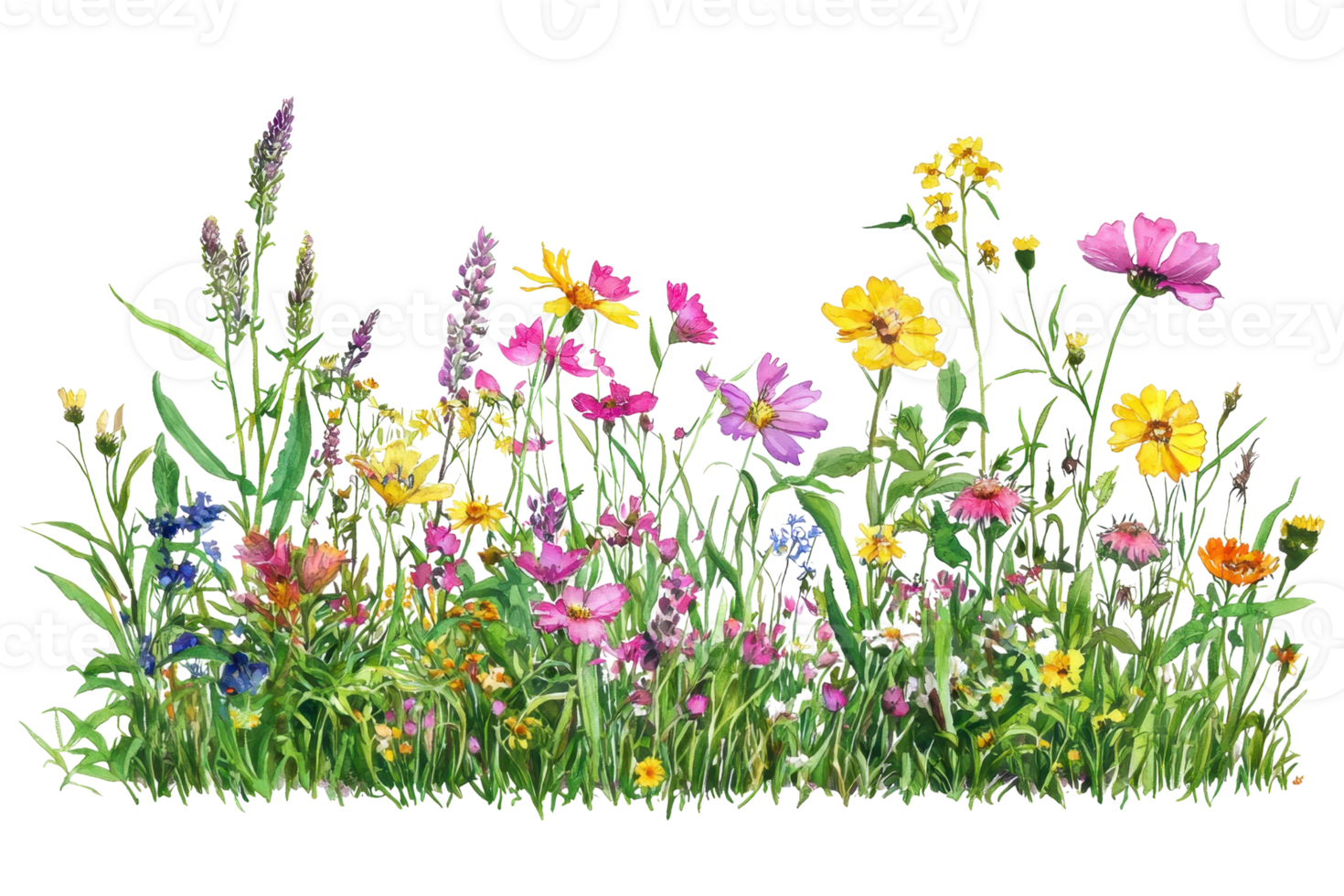 Vibrant wildflowers in full bloom showcasing a variety of colors and species, capturing the beauty of nature in a stunning display. png