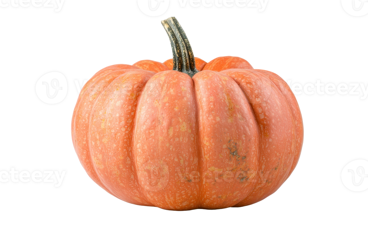 Close-up of a ripe, orange pumpkin with a green stem isolated on a transparent background. perfect for fall and Halloween-themed projects. png