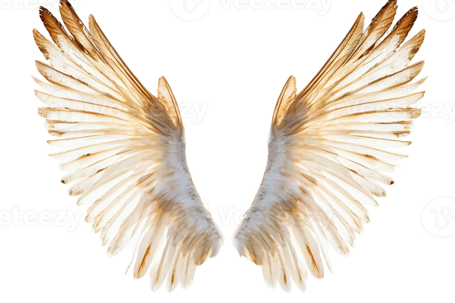 elegant Weiß und braun Vogel Flügel mit detailliert Gefieder isoliert auf transparent Hintergrund. symbolisieren Freiheit und Anmut. png