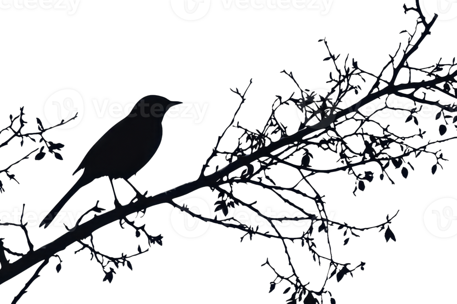 Silhouette of a bird perched on a branch with detailed background, ideal for nature-themed stock photo needs. png