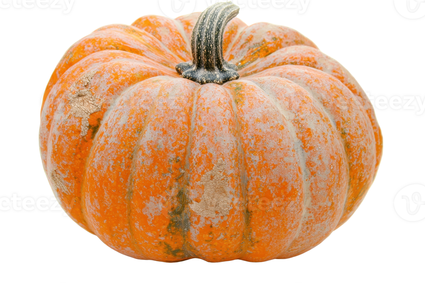 Close-up of a large, rustic pumpkin with a textured surface. Perfect for autumn themes, Halloween, or Thanksgiving decor. png