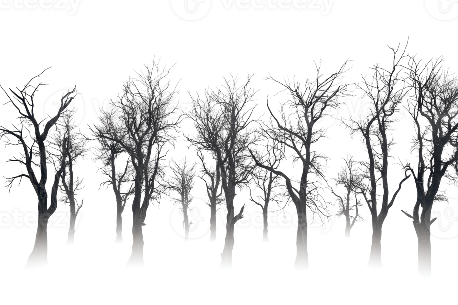Silhouetted bare trees creating a mystic and eerie atmosphere. Ideal for autumn, winter, and Halloween-themed projects. png