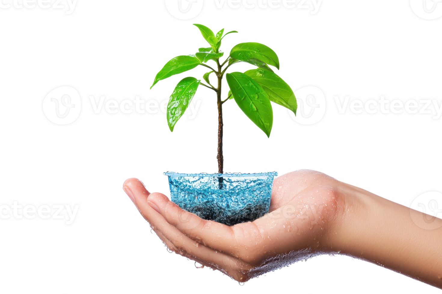 A hand holding a small green plant, symbolizing growth, nurture, and sustainability in a nurturing and eco-friendly setting. png