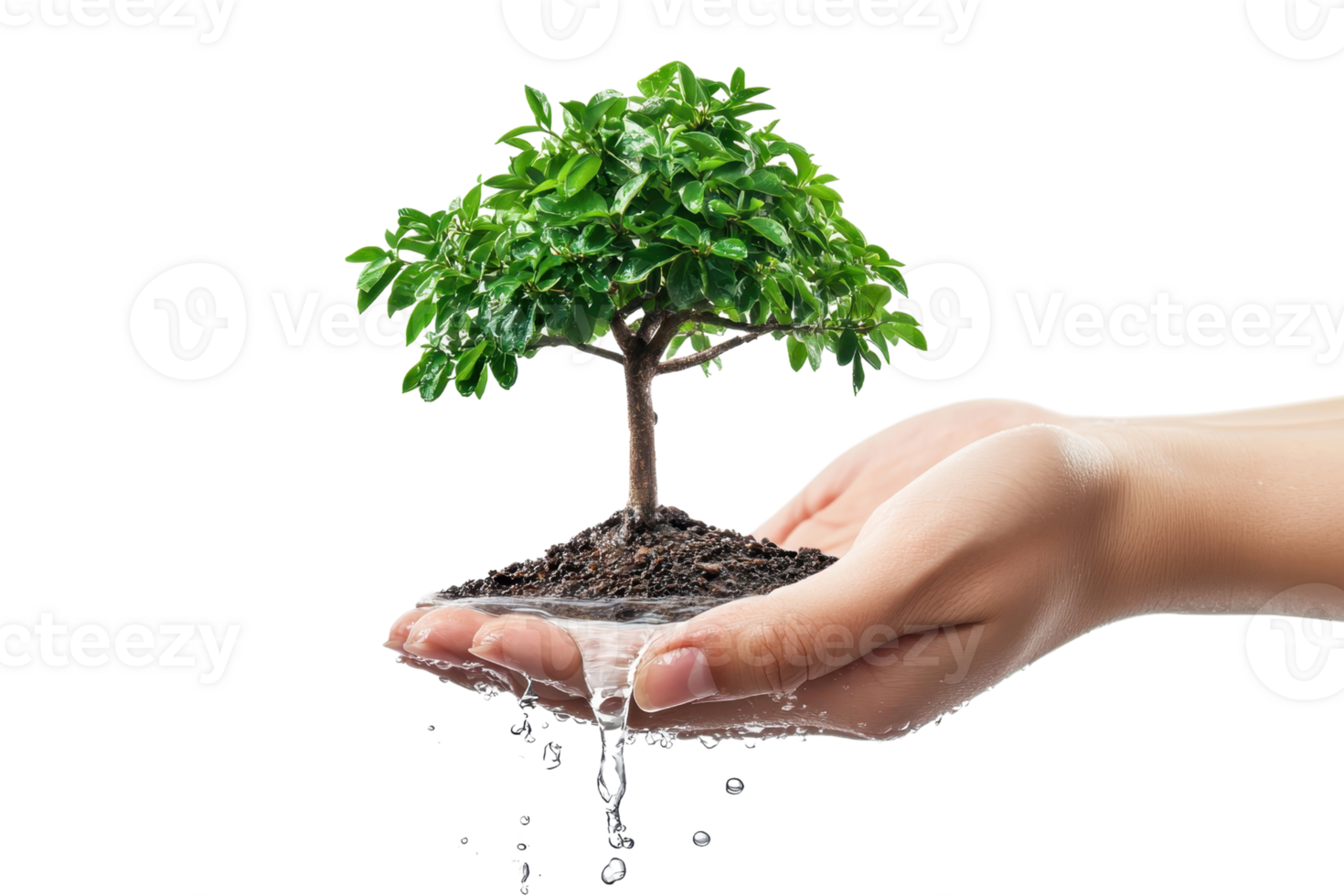 Hands holding a small tree with soil, symbolizing growth, sustainability, and environmental care. png