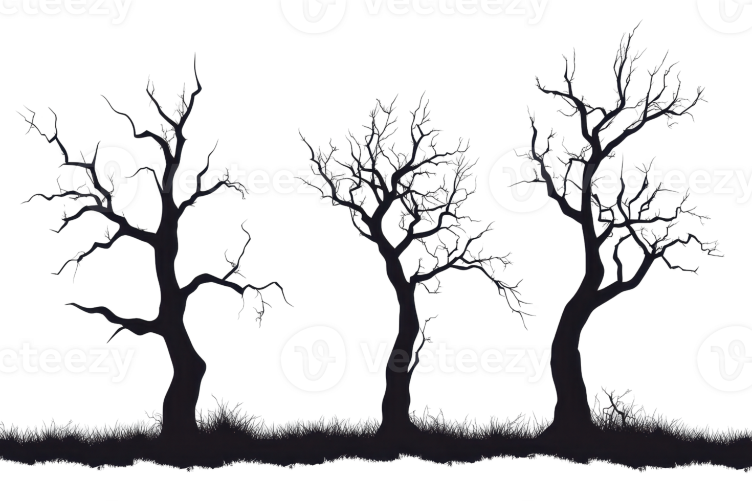 Silhouettes of three leafless trees isolated against a transparent background. showcasing a stark and haunting winter scene. png