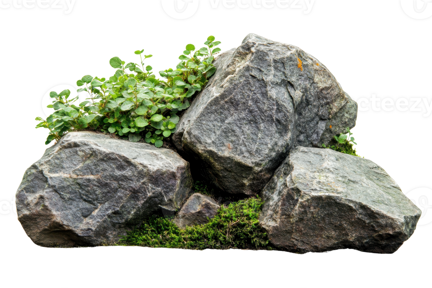 Close-up of three large gray rocks surrounded by green plants and moss, isolated on a transparent background. png