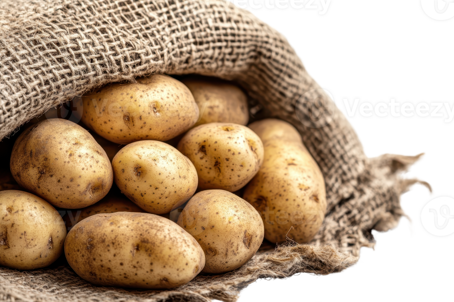 Freshly harvested potatoes spilling out of a burlap sack. Perfect for food, agriculture, and organic produce themes. png