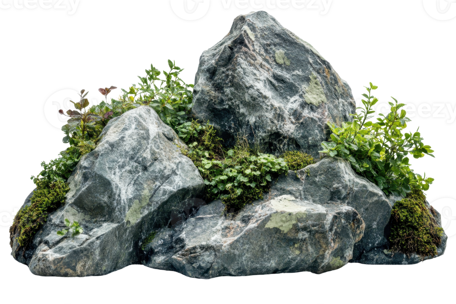 Natural rock arrangement with greenery and moss, showcasing a rugged and earthy aesthetic perfect for nature-themed projects. png
