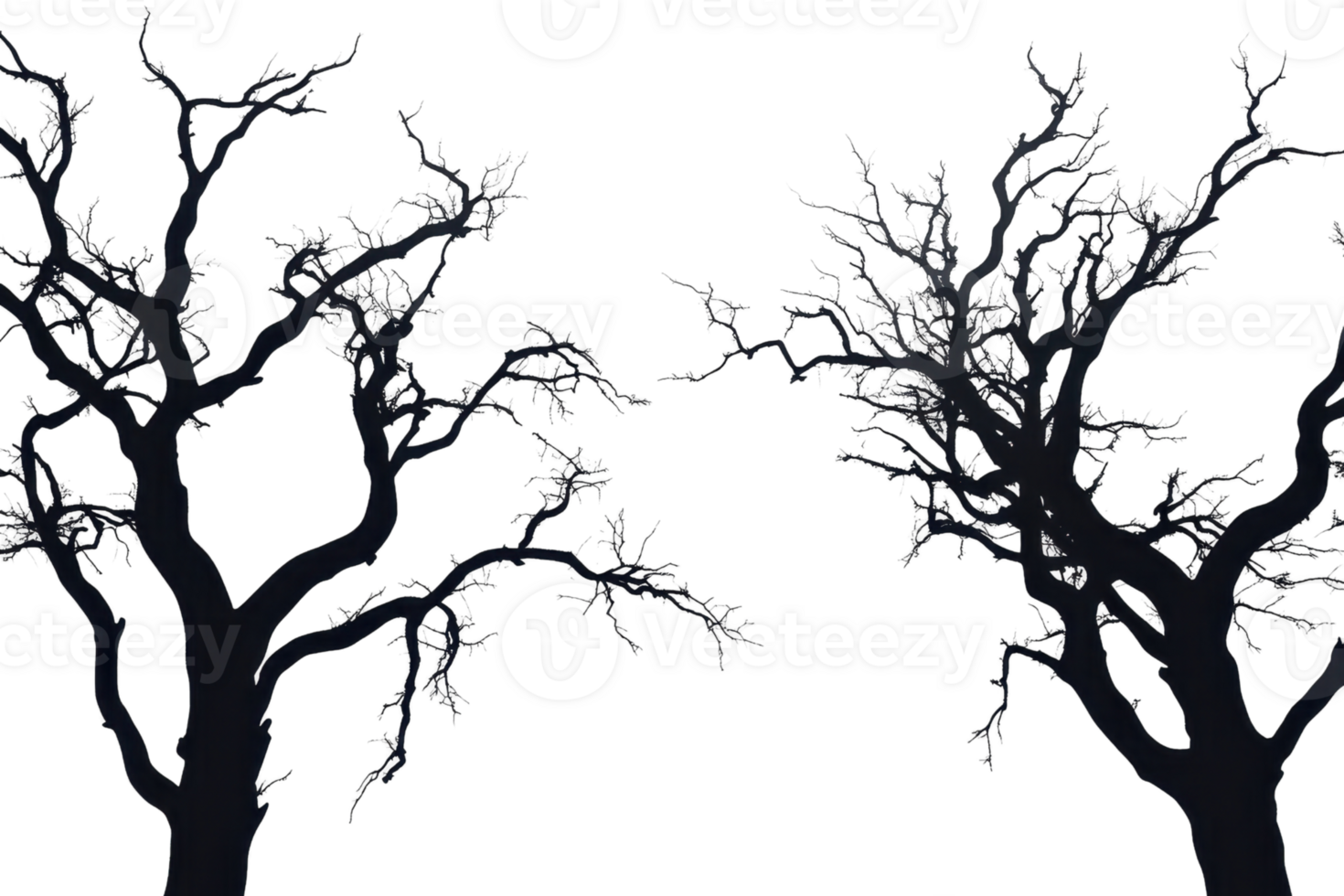 Silhouetted leafless tree branches against a transparent background. capturing the eerie and haunting essence of a dark, barren forest. png