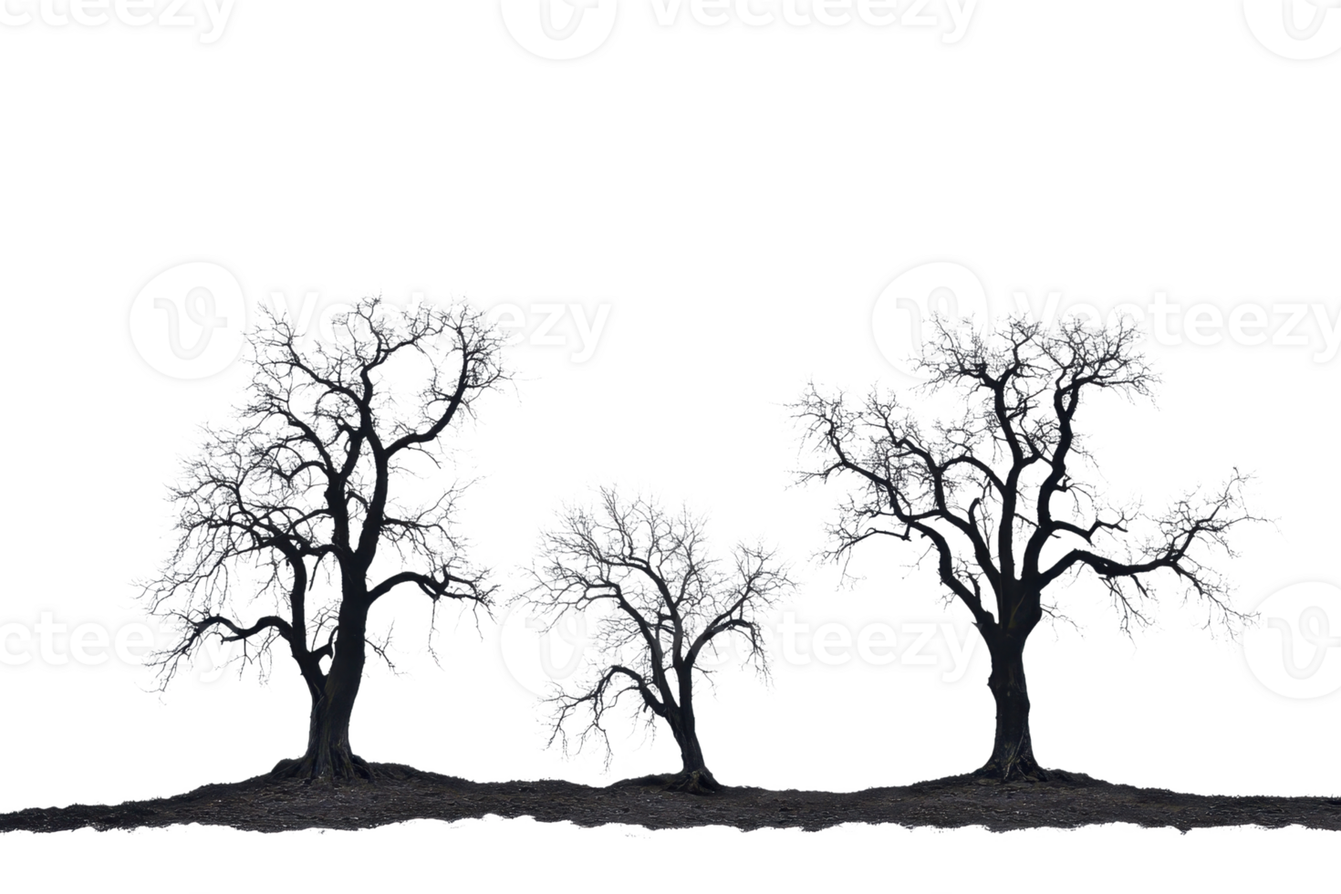 Three leafless trees with intricate branches, creating an eerie and serene silhouette against a clear background. png
