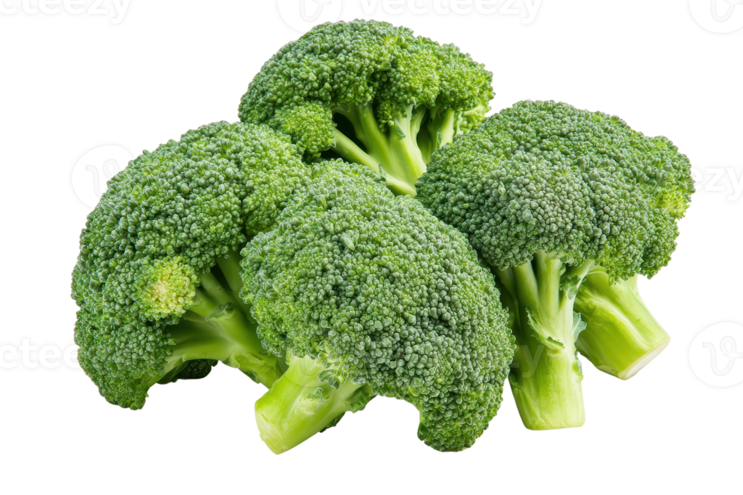 Fresh green broccoli florets isolated on transparent background. Perfect for healthy eating, vegetarian meals, and nutritious cooking. png