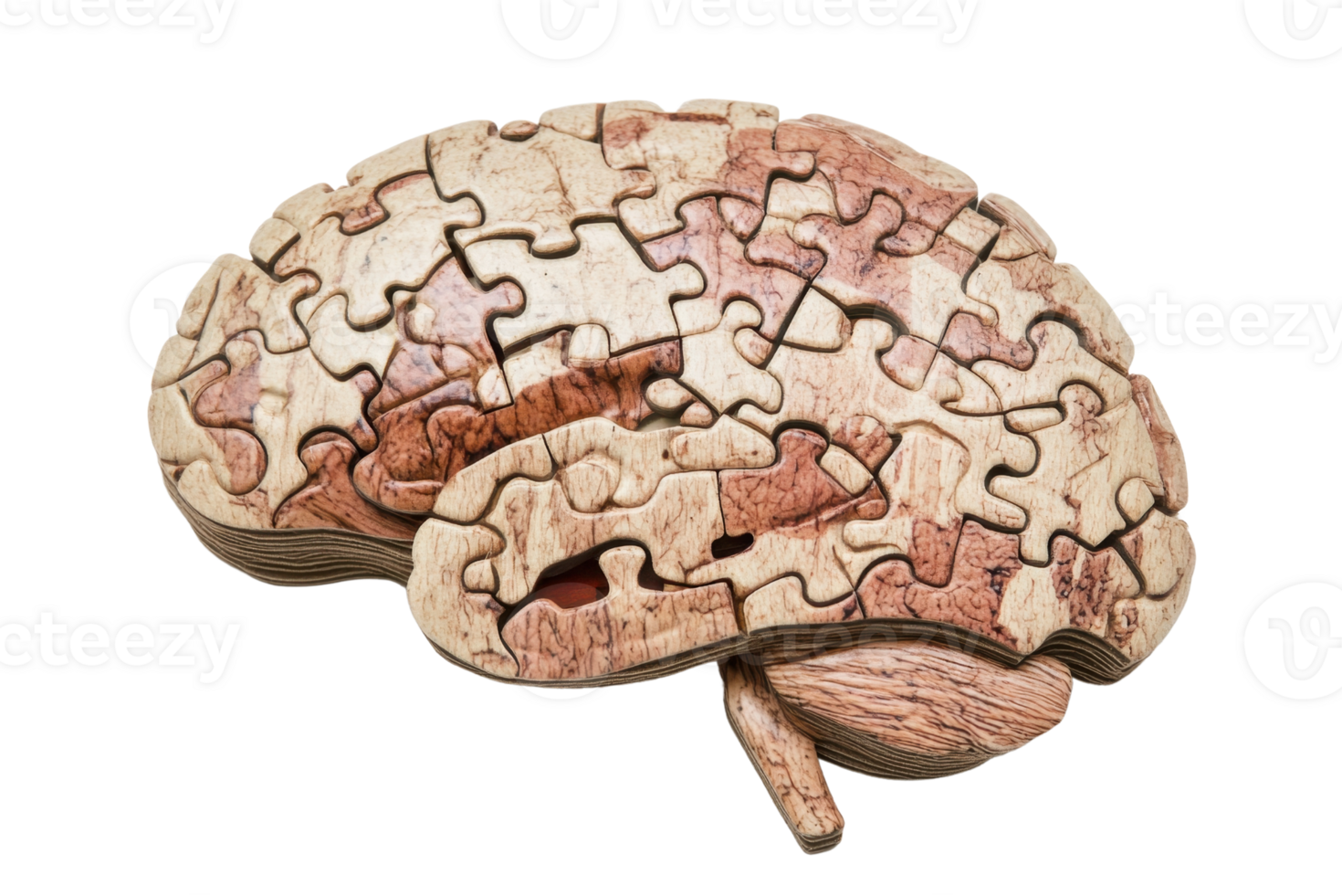 Wooden brain puzzle concept representing cognition, intelligence, mental health, and neurology. Ideal for educational and medical content. png