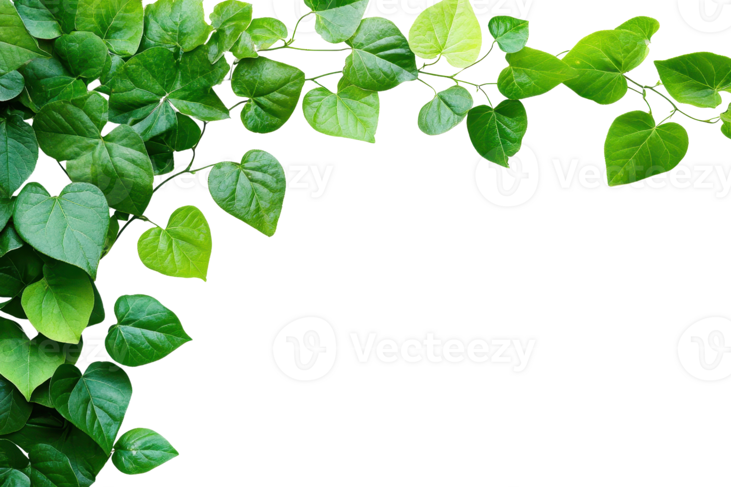 Beautiful green leaves with a heart shape arranged in a corner frame on a transparent background. perfect for nature-themed designs and backgrounds. png
