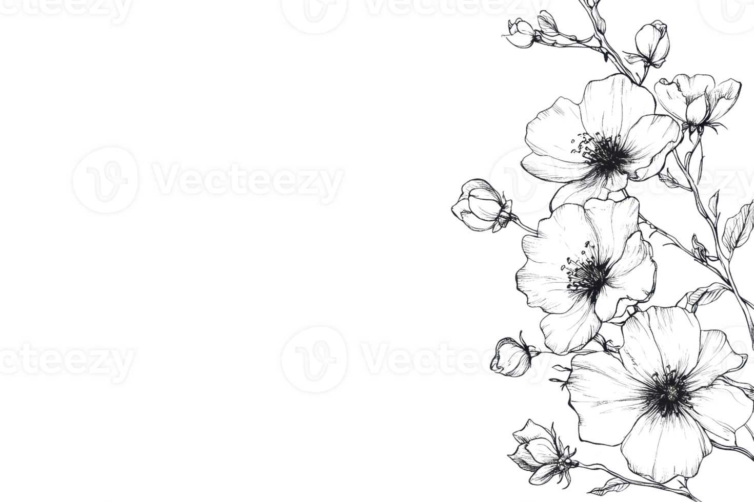 Elegant black and white floral illustration of blooming flowers and buds on a branch, perfect for invitations and decorative projects. png