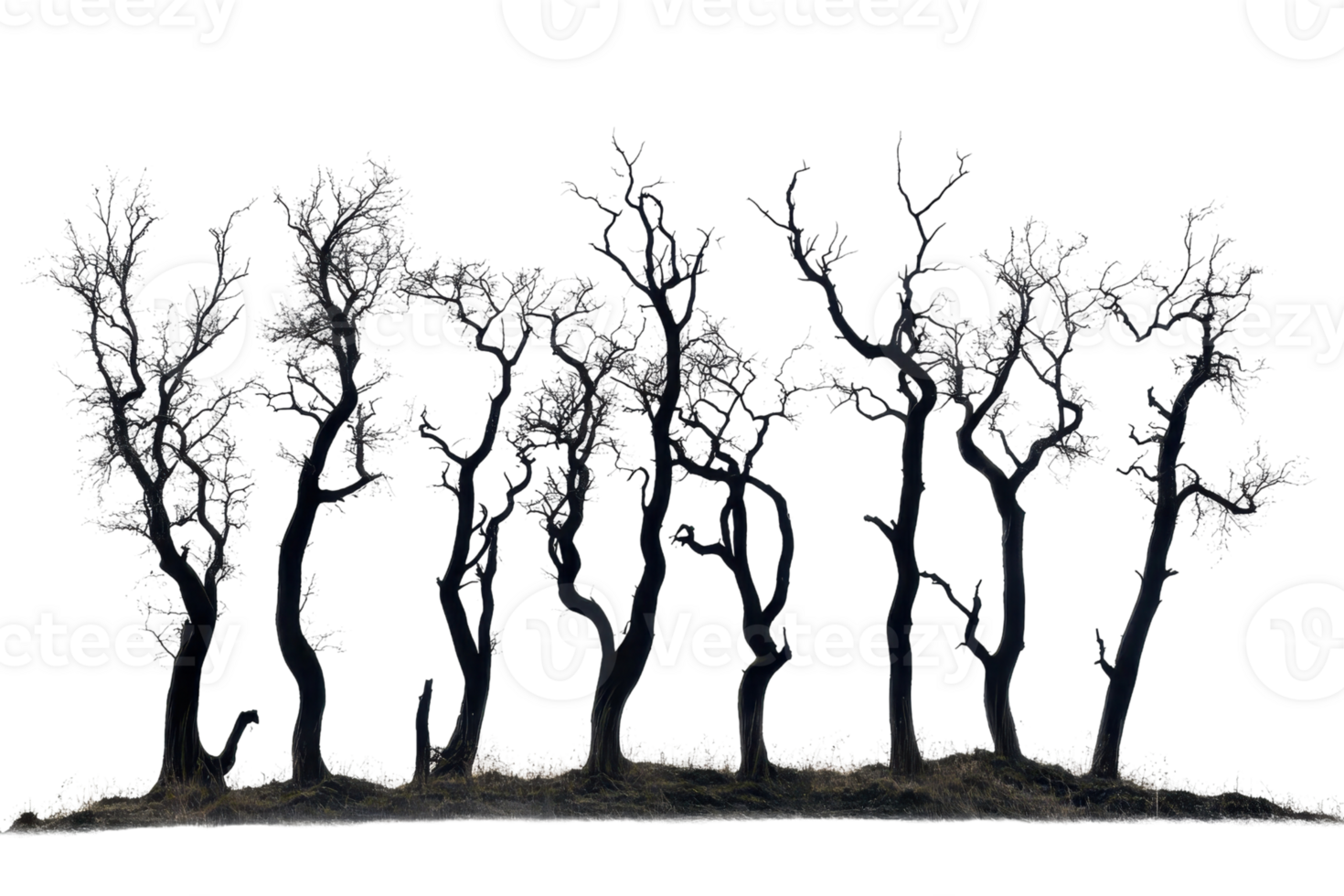 Bare trees creating a haunting silhouette at dusk, set against a stark background for dramatic effect and perfect for nature-related themes. png