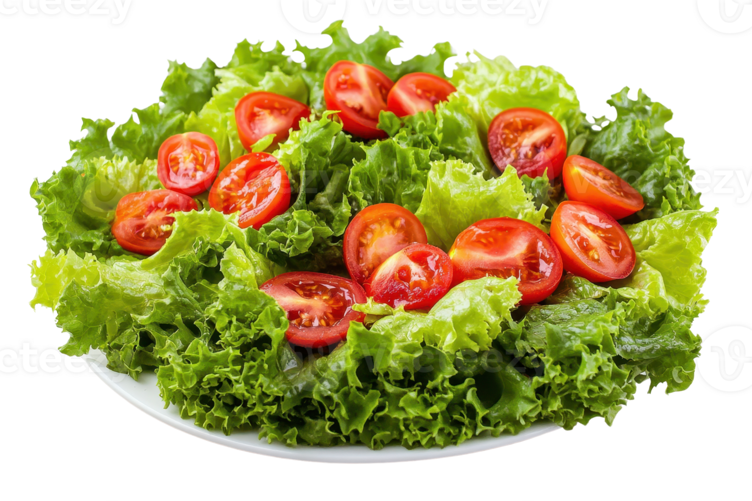 Fresh green leaf lettuce with cherry tomato slices on a white plate. Perfect for salads, healthy eating, and vegetarian meals. png