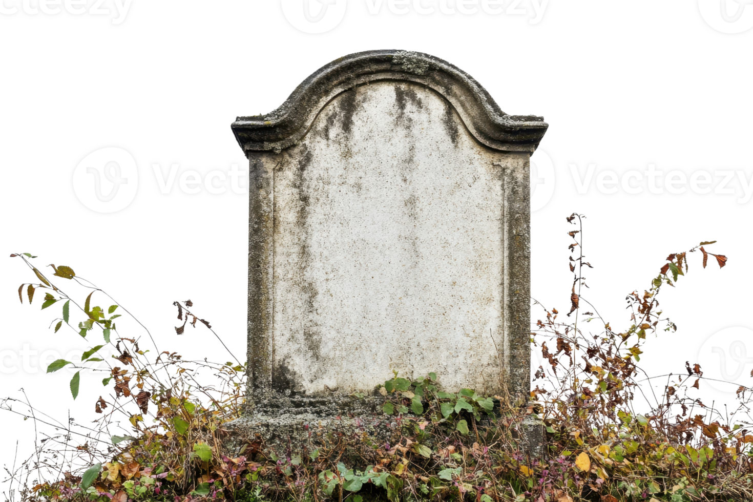 Old weathered gravestone overgrown with ivy and moss, symbolizing time, history, and remembrance in a peaceful, natural environment. png