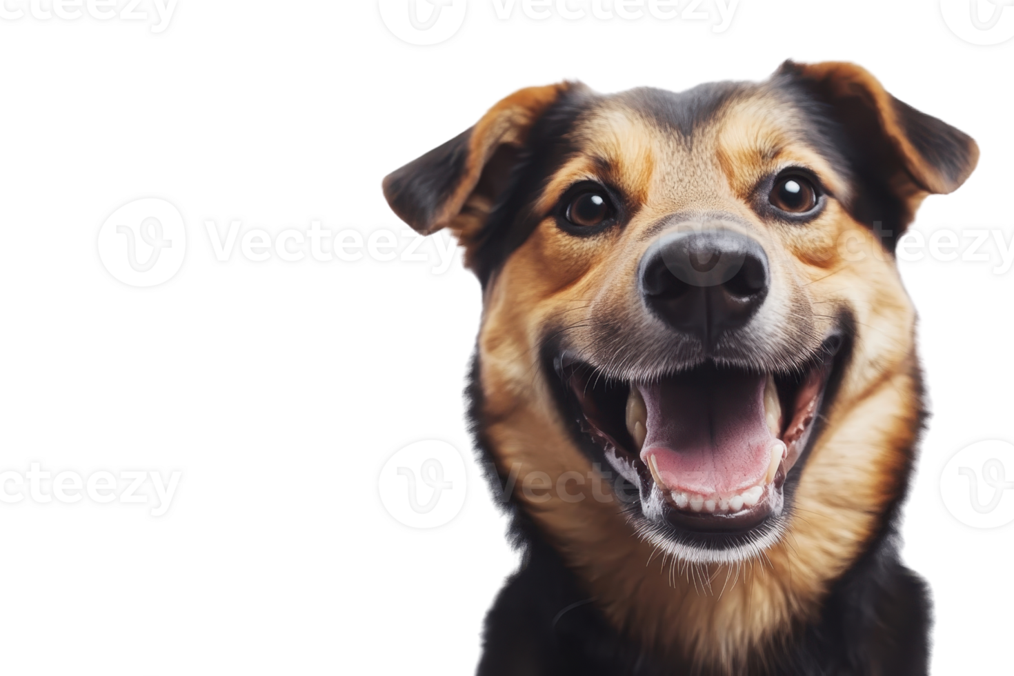 Cute dog with a happy expression, looking directly at the camera. Highlighted on transparent background. Ideal for pet, joy, and animal themes. png