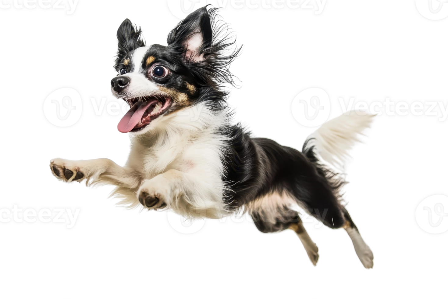 Energetic small dog mid-jump, displaying a playful and joyful demeanor. Perfect for pet, animal, and motion-related themes. png