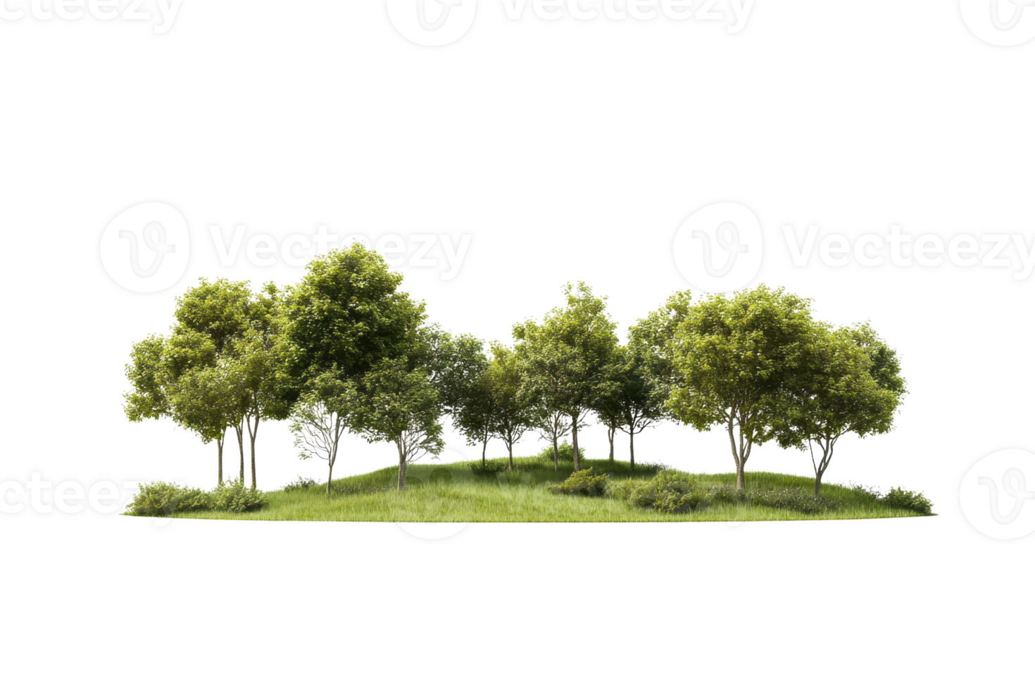 Lush green trees forming a small grove with vibrant foliage, ideal for nature and environment themes in stock photography. png