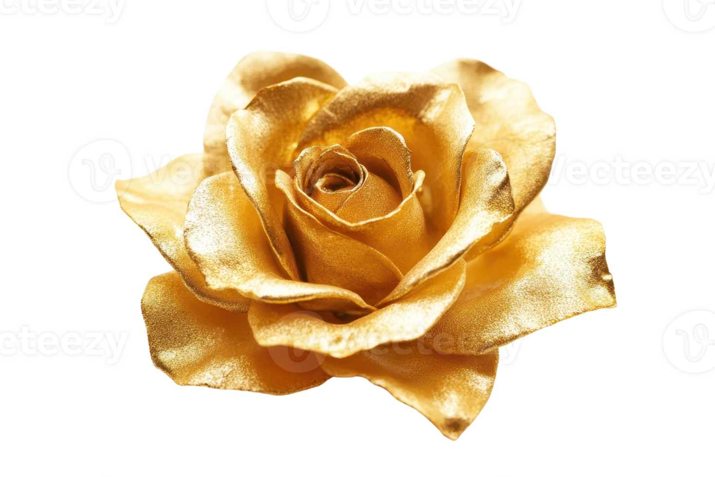 Close-up of a stunning golden rose with intricate petal details, symbolizing beauty, luxury, and elegance. png