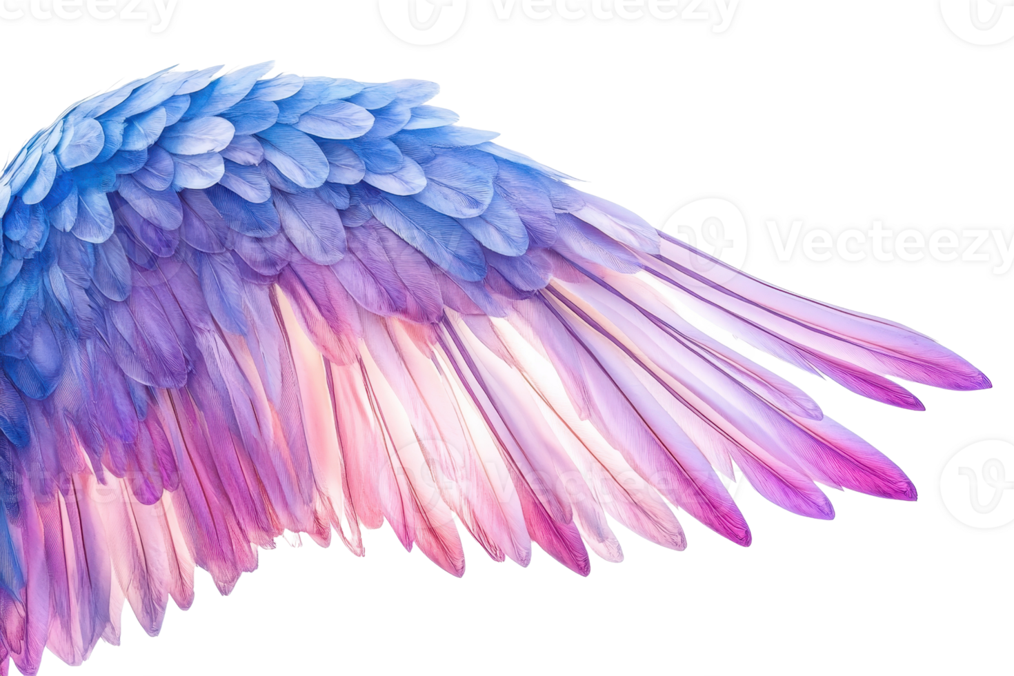 Colorful angel wing with vibrant hues of blue and pink, showcasing feathers in a mystical, ethereal design on a transparent background. png