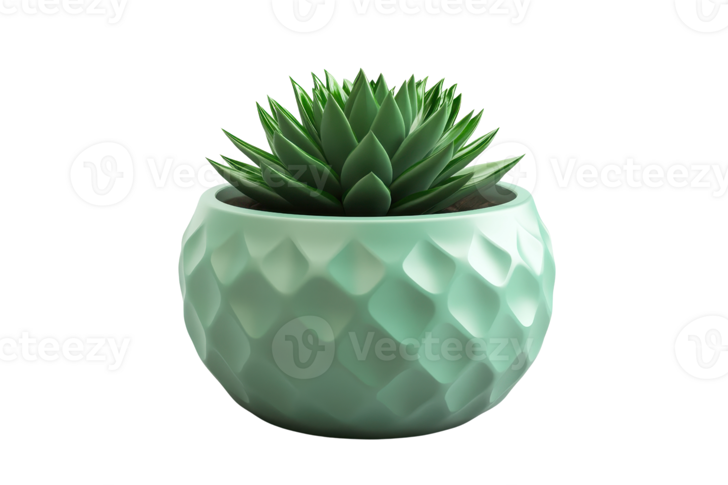 Green succulent in a patterned ceramic pot isolated on transparent background. Modern home decor and minimalist plant design. png