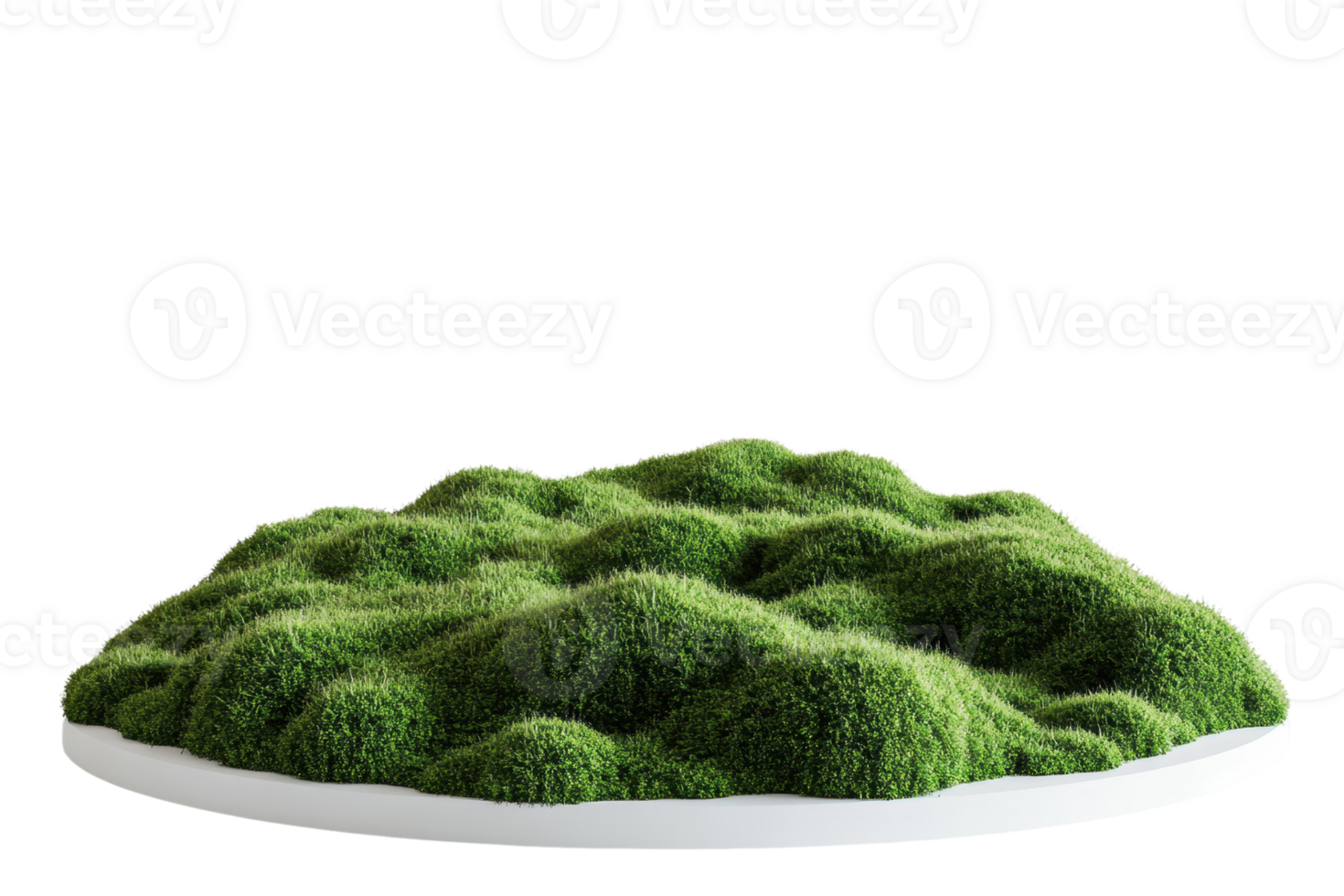 Close-up of a green moss-covered surface, showcasing lush, vibrant vegetation texture against a transparent background. signifying natural beauty. png