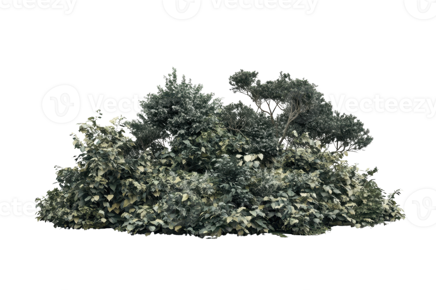 Lush green foliage and leafy shrubs creating a dense, vibrant natural vegetation scene, perfect for environmental and landscaping themes. png