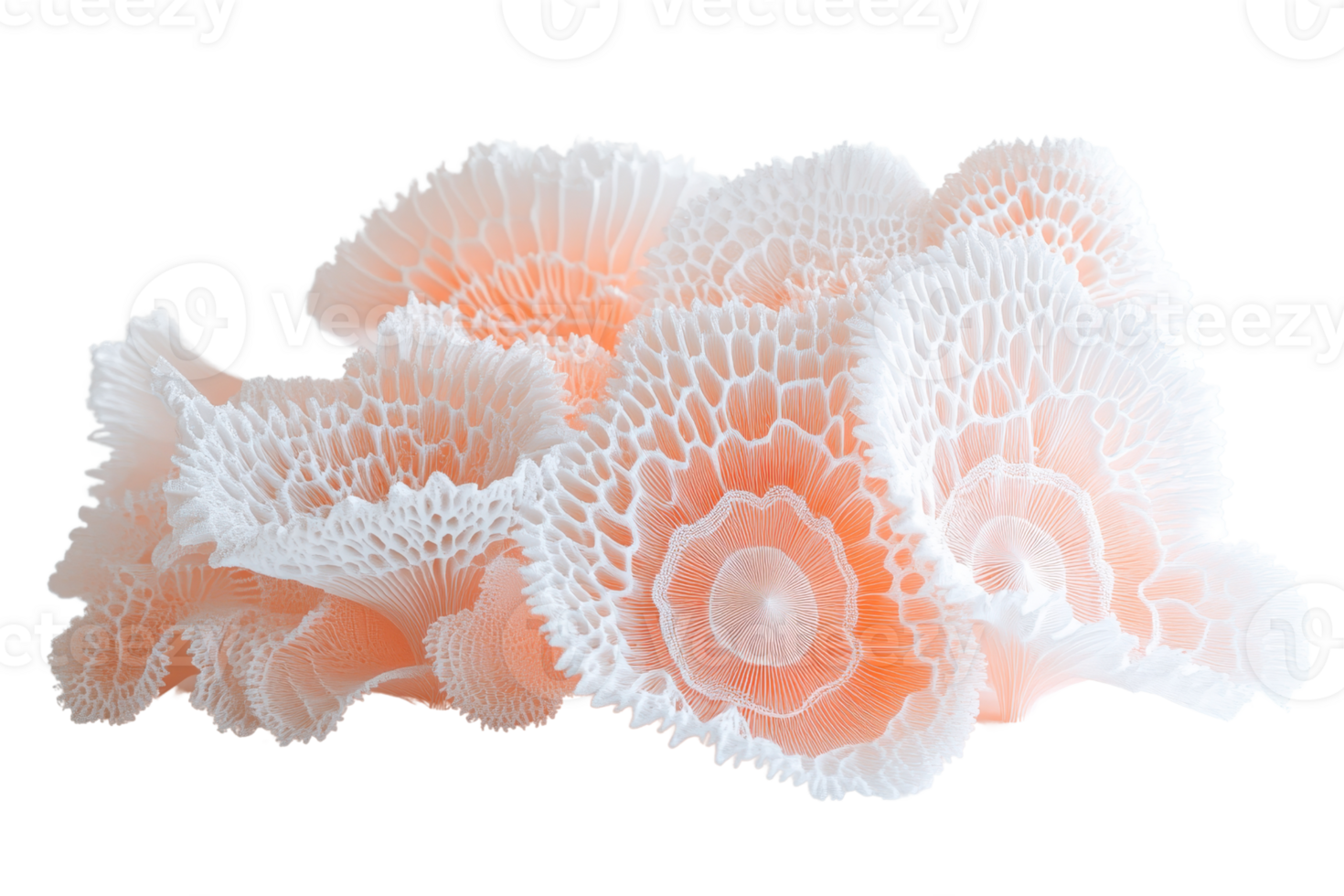 Beautiful abstract coral sculpture with intricate patterns and soft peach hues. Artistic marine-inspired design ideal for decoration. png